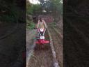 Video Thumbnail 5