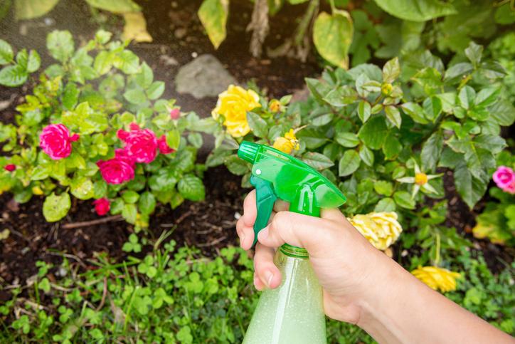 3 Kitchen Item That Work Better Than Farm Chemicals