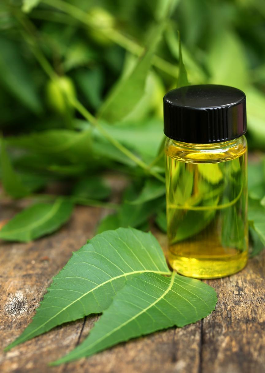 Neem Oil Myths vs Reality: Does it control All Pests?