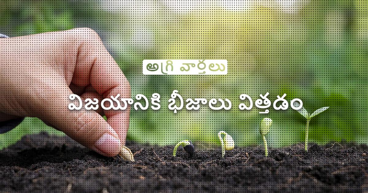 /kvplus/articles/13.Sowing-seed-for-success_Telugu.jpg