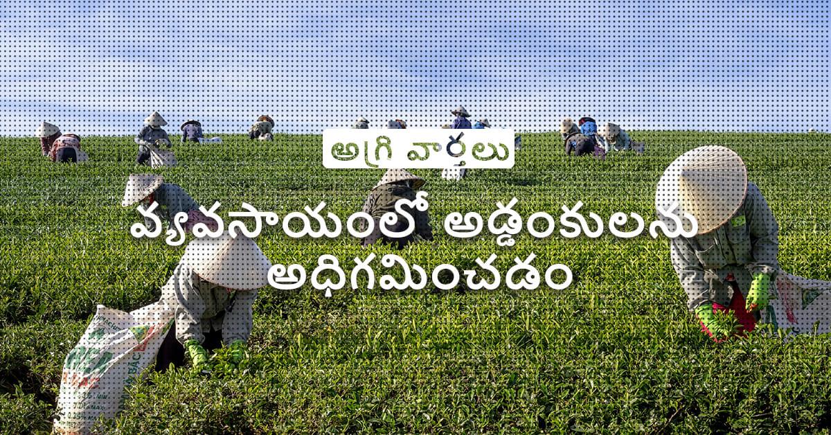 /kvplus/articles/14-Breaking-Barrier_Telugu.jpg