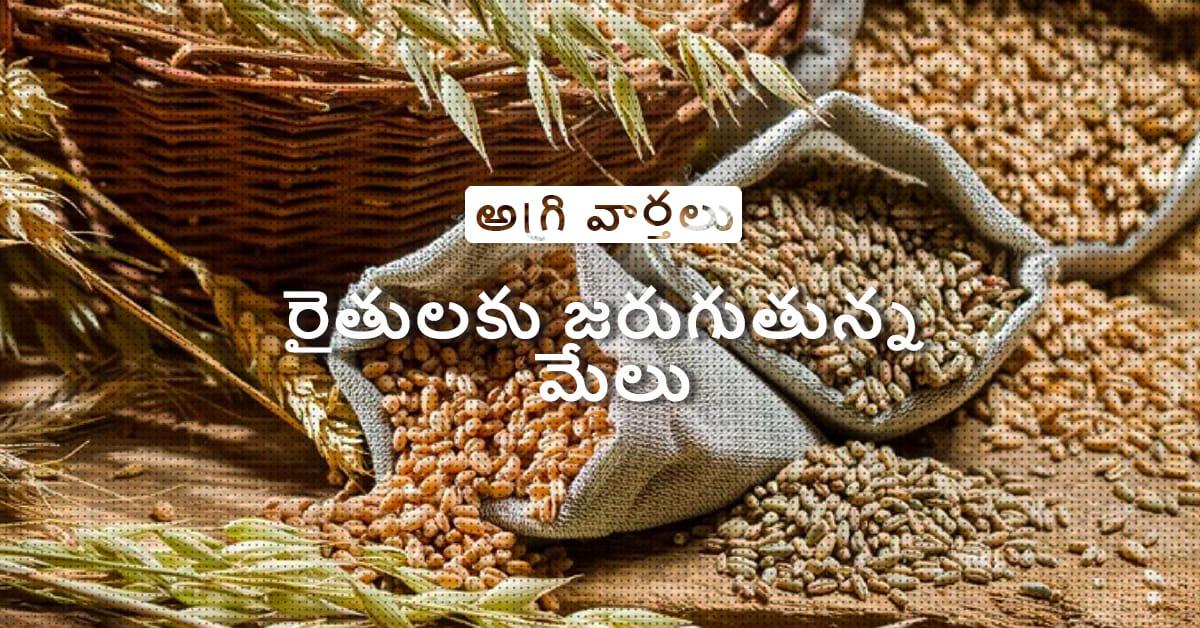 /kvplus/articles/20.Agricultural-Exports-Soar_telugu.jpg