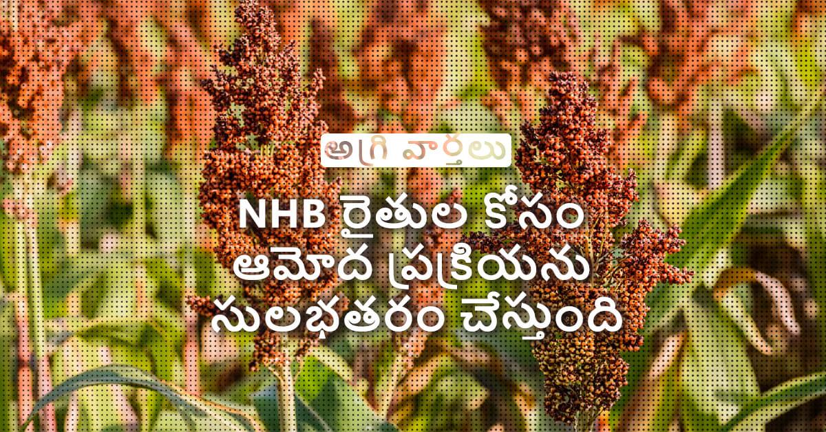 /kvplus/articles/4.NHB_Telugu_1.jpg