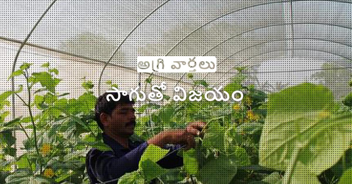 /kvplus/articles/5.Cultivating-Success_Telugu.jpg