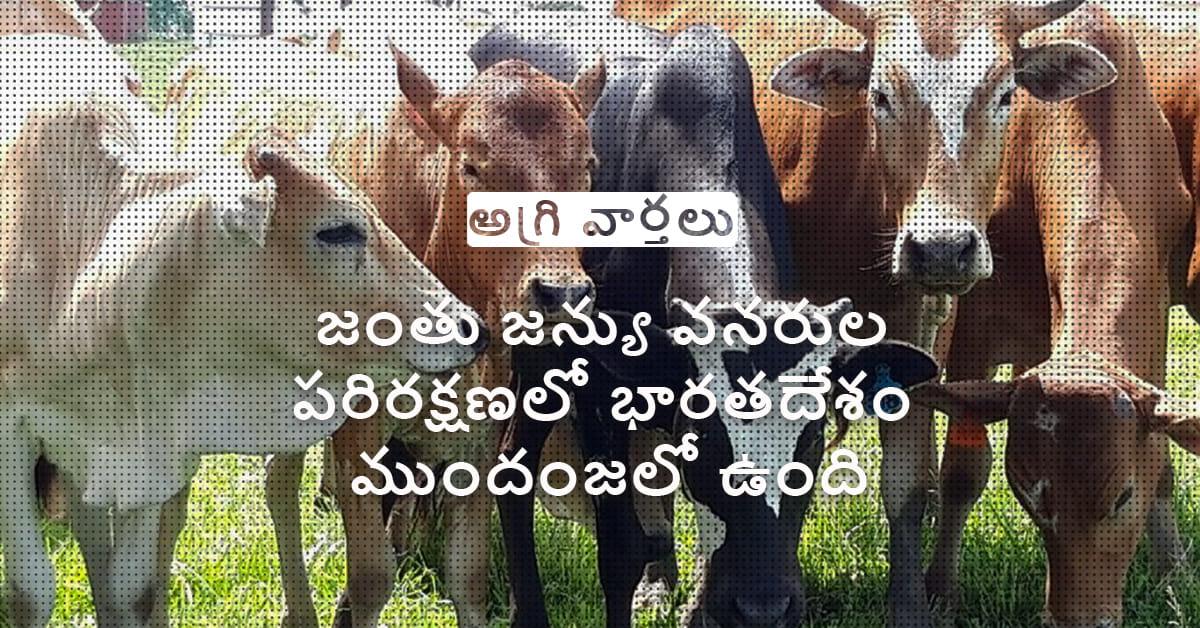 /kvplus/articles/6.Animal-genetic-Resource_Telugu_1.jpg