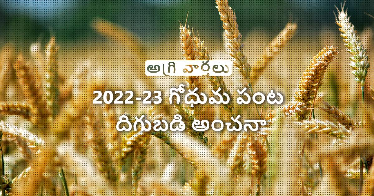 /kvplus/articles/Bumper-wheat_Telugu.jpg