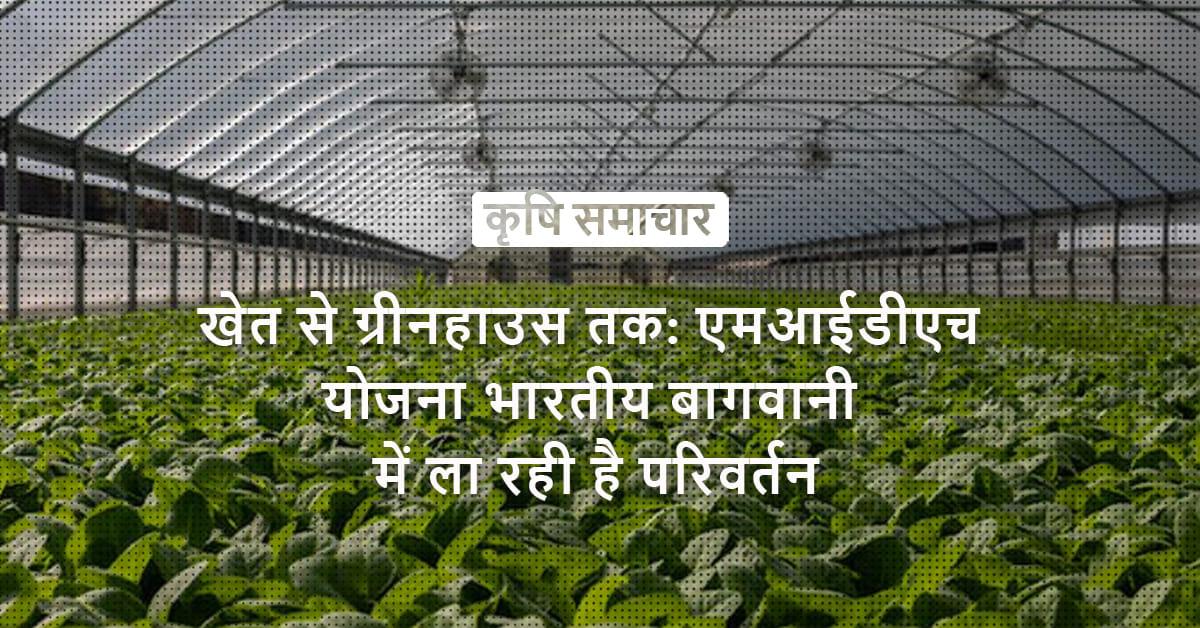 /kvplus/articles/Farm-to-Green-House_Hindi.jpg