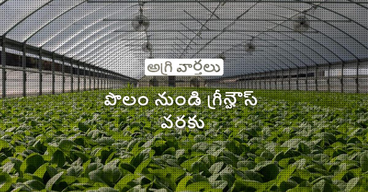 /kvplus/articles/Farm-to-Green-House_telugu.jpg