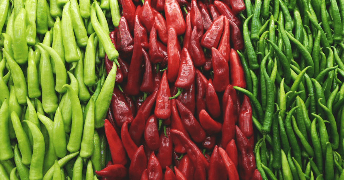 kvplus/articles/0575033d7f95cfee52cce2d4d4783162_CHILLI-1.png