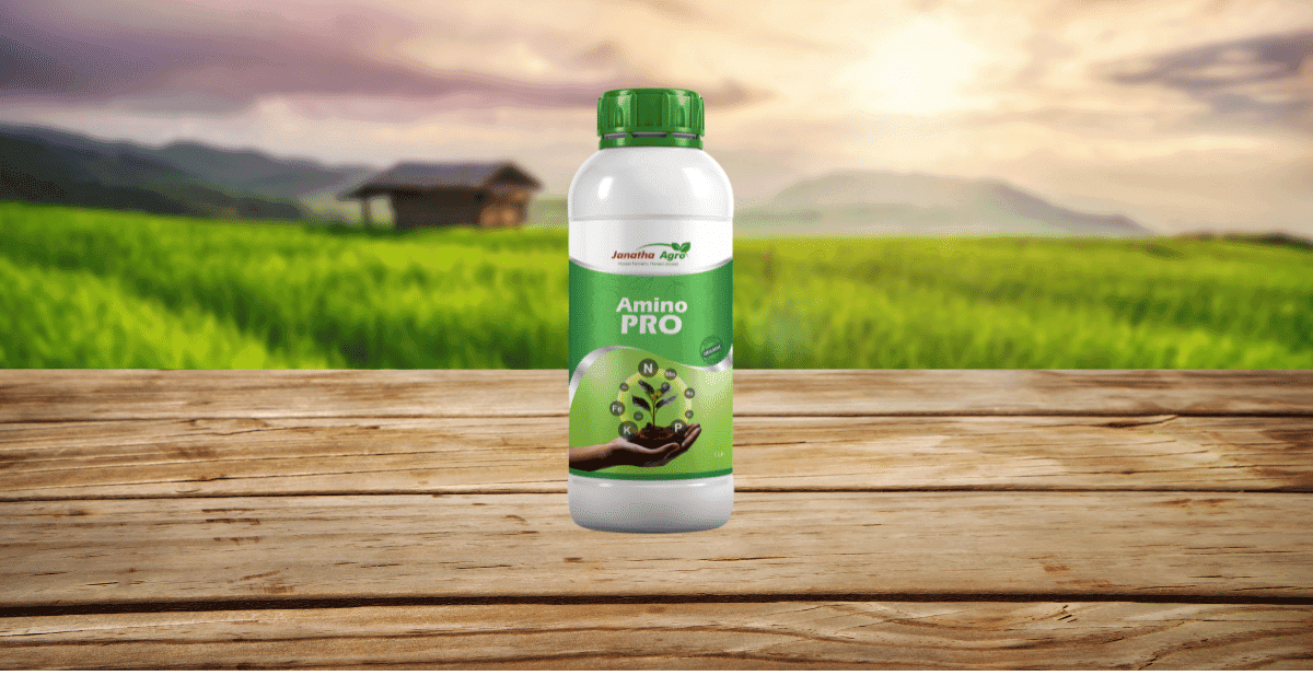 kvplus/articles/2205a68589ba22c71913e872308cc0dc_Amino-Peo.png