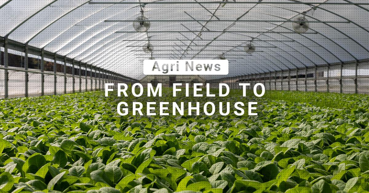 kvplus/articles/3784e325aefac6375ed059058f36b4dc_greenhouse.jpg