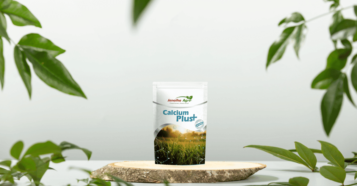 kvplus/articles/3b4188a96c7896adbdbc20ad993f6565_Calcium-Plus-1.png