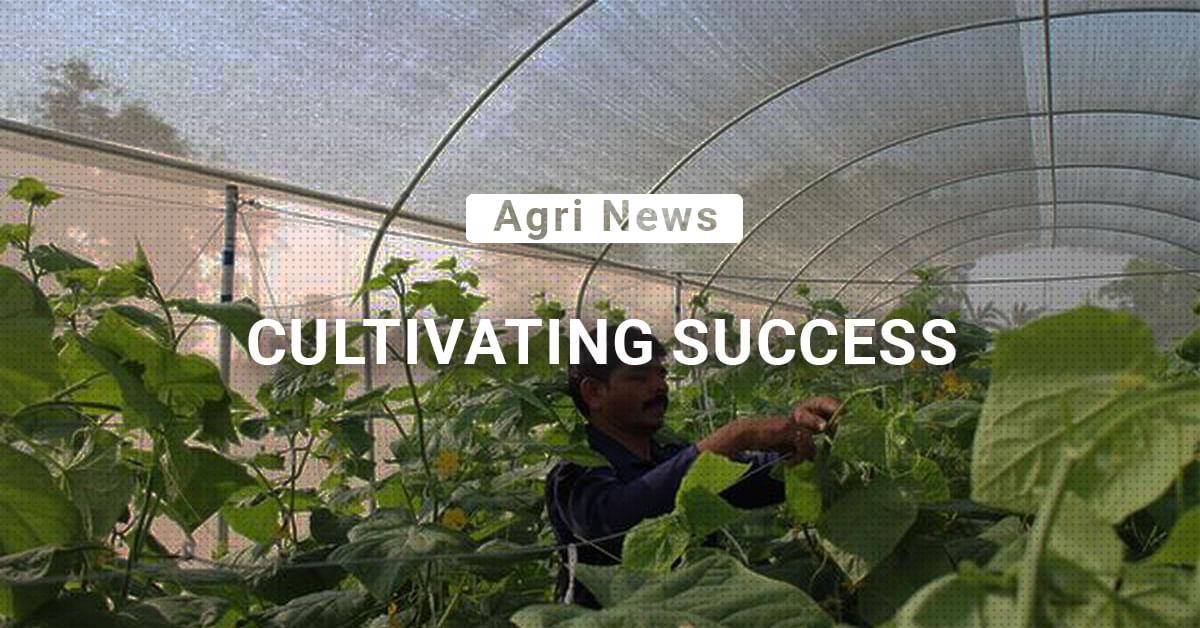 kvplus/articles/6506e63419b5744c937aacc8b5b3cd91_Cultiating-success.jpg
