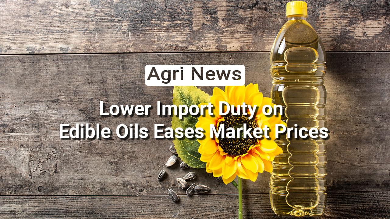 kvplus/articles/6b3a4db6c166efb698c8474d9bd31329_13-News-1.jpg