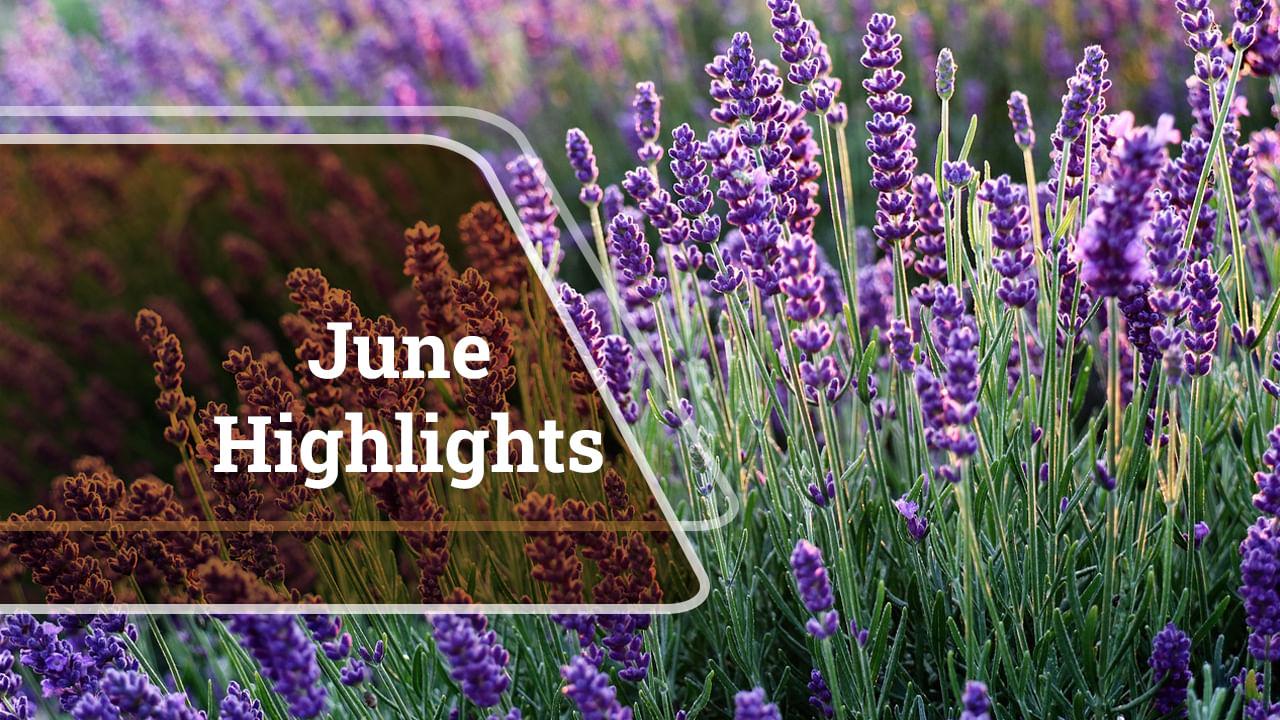 kvplus/articles/997c3d94b4accbc9cbbcb7f0367a4325_June-Highlights.jpg