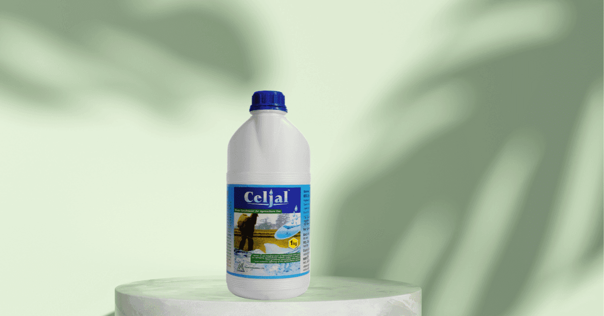 kvplus/articles/a0e751a19adbf3382c50e24011ac56f3_Celjal-Canva.png