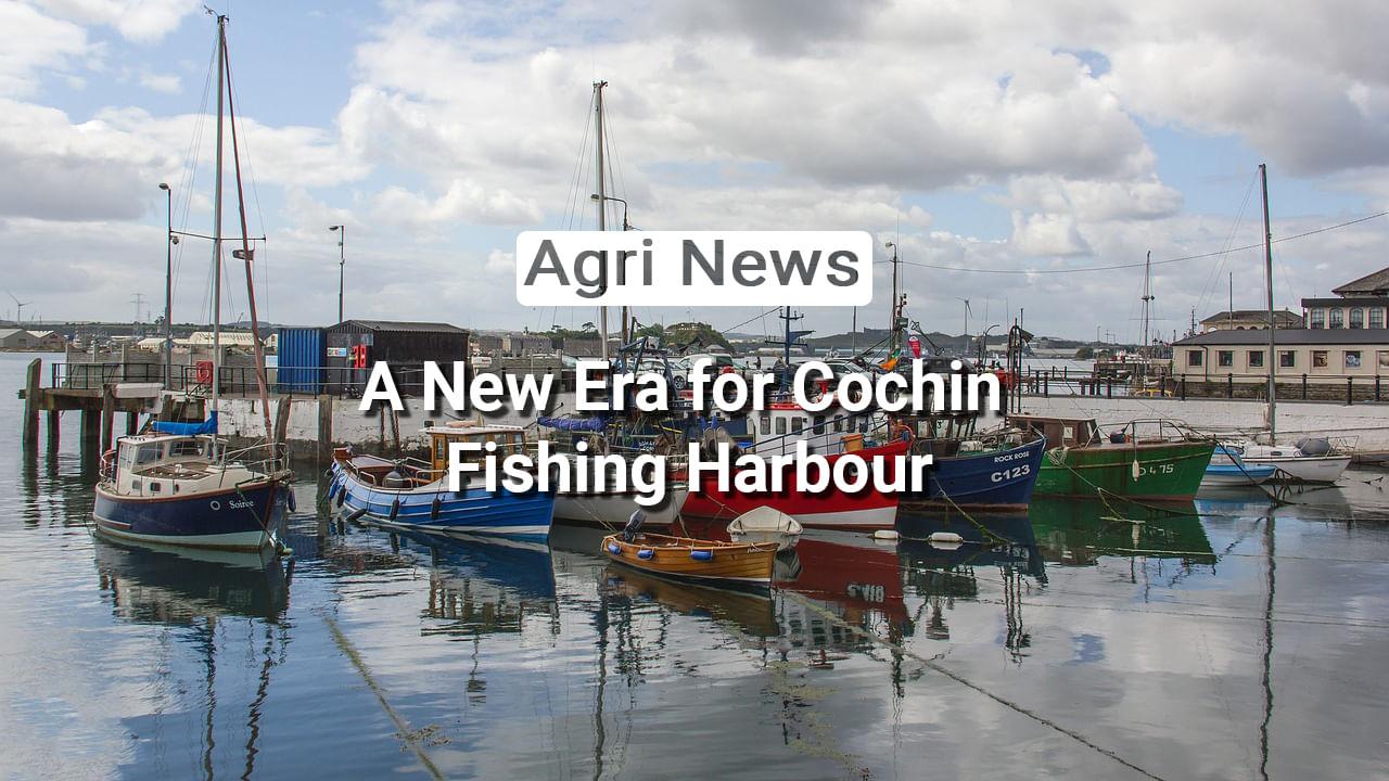 kvplus/articles/ef9e5b6c0f9c2368d470c12fd69d8c71_12-News.jpg