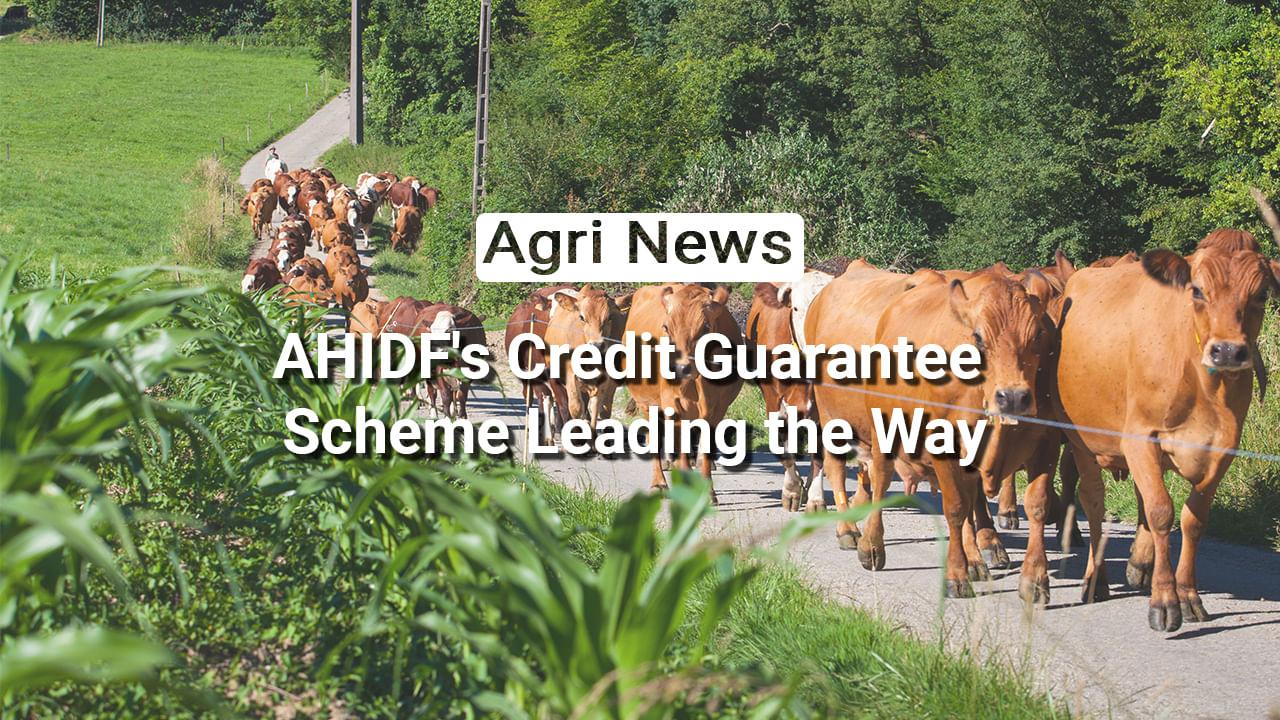kvplus/articles/f5ee8f1b441f09b06f05dd23629cb7bf_11-News.jpg