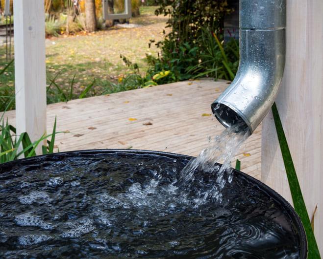 Rainwater Harvesting for Gardens: 6 Easy Ways