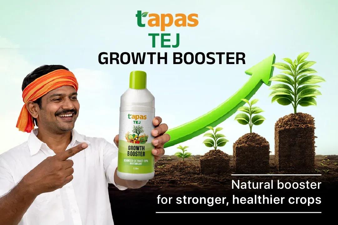 TAPAS TEJ BOOSTER Image 1