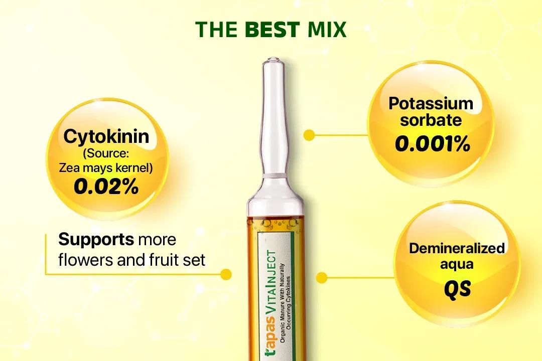TAPAS VITA INJECT - GROWTH REGULATORS Image 3