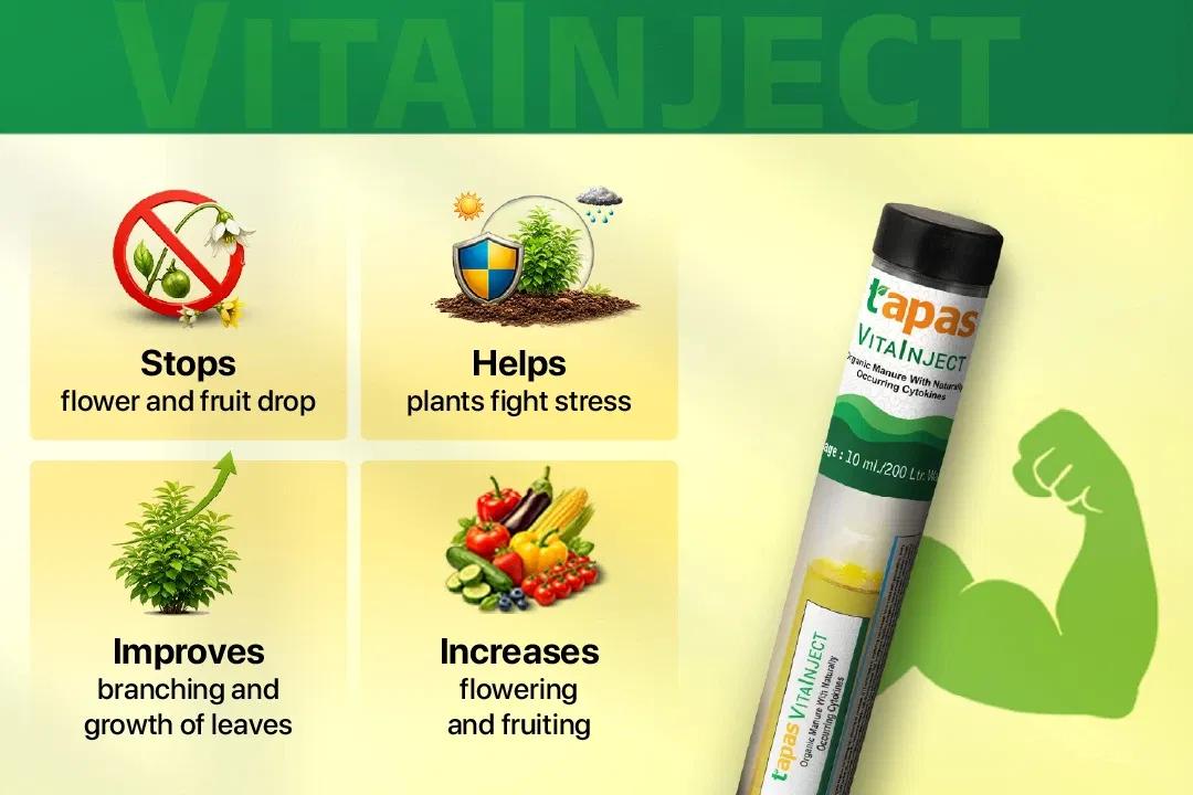 TAPAS VITA INJECT - GROWTH REGULATORS Image 2