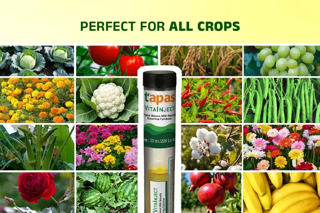 TAPAS VITA INJECT - GROWTH REGULATORS Image 5