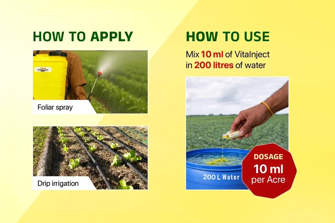 TAPAS VITA INJECT - GROWTH REGULATORS Image 6