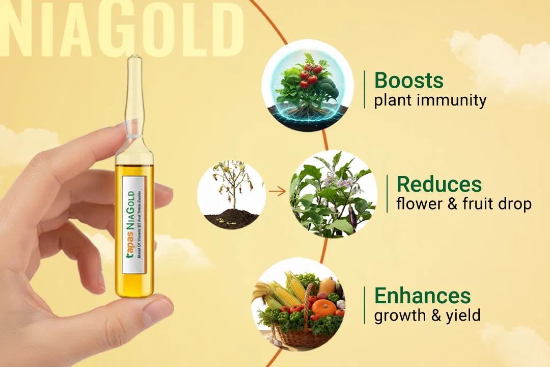 TAPAS NIA GOLD - GROWTH REGULATORS Image 2