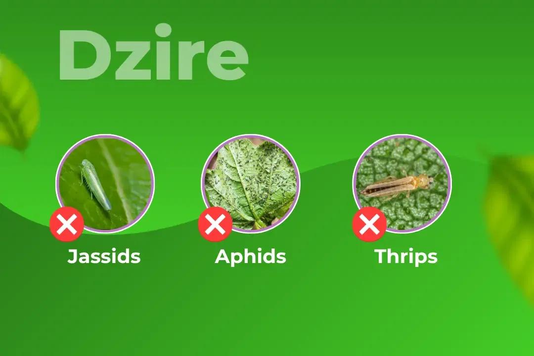 Dzire Insecticide Target Pest