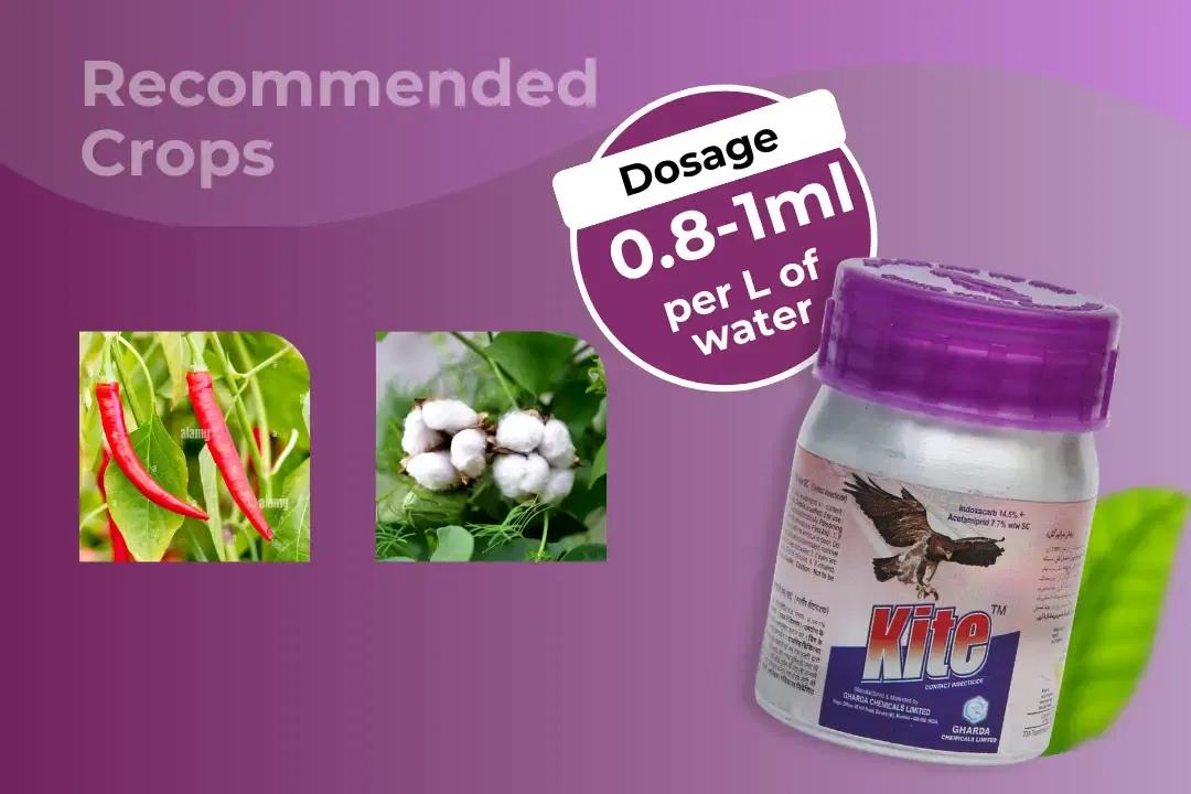 Kite Insecticide Dosage Per Litre And Recommended Crops
