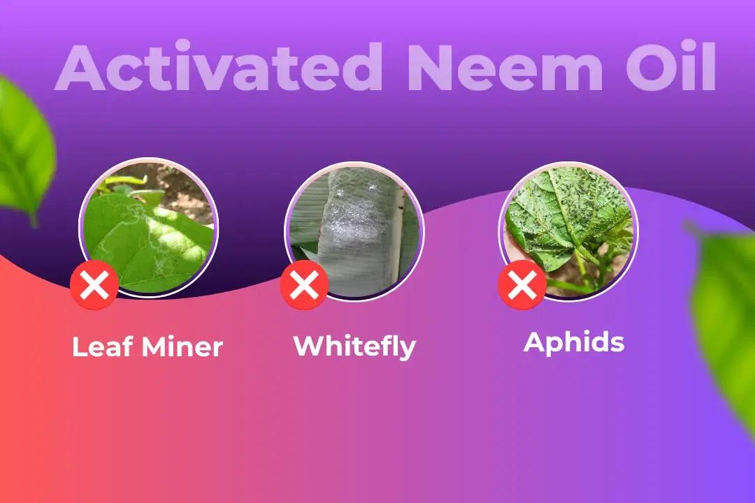 Katyayani Activated Neem Oil Bio Pesticide Target Pest