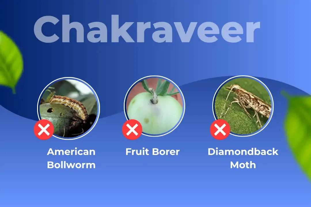 Katyayani Chakraveer Target Pest