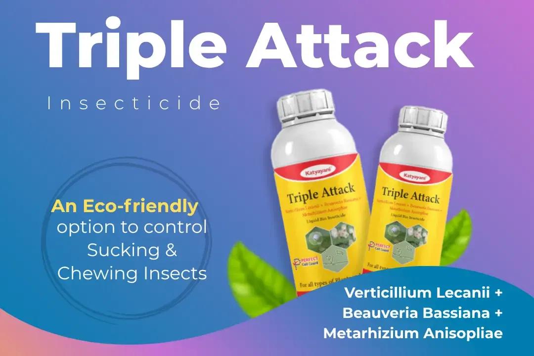 Katyayani Triple Attack Technical Name