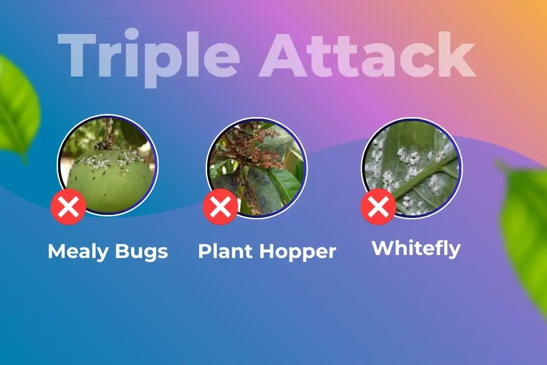 Katyayani Triple Attack Target Pest