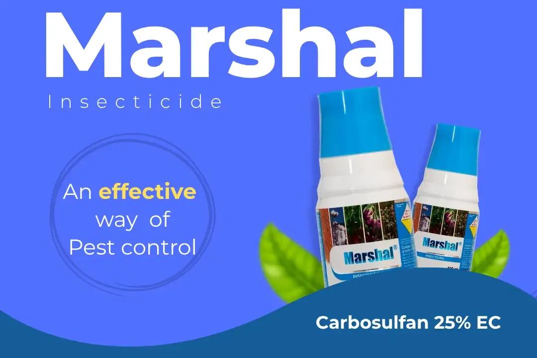 Marshal Insecticide Technical Name
