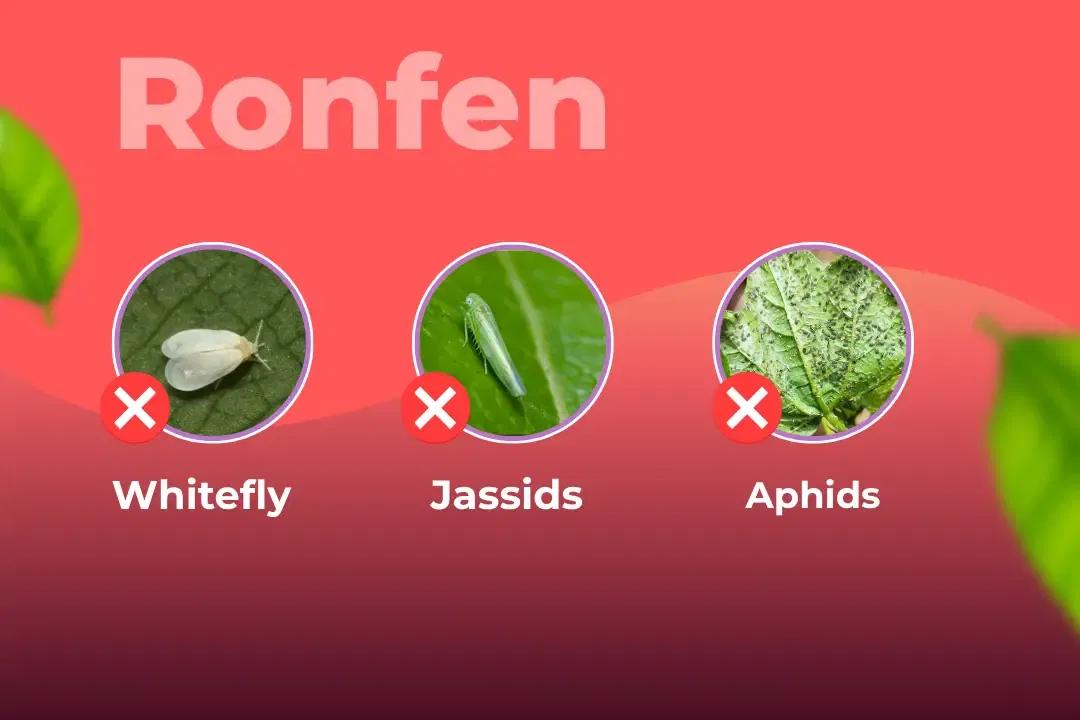 Ronfen Insecticide Target Pest