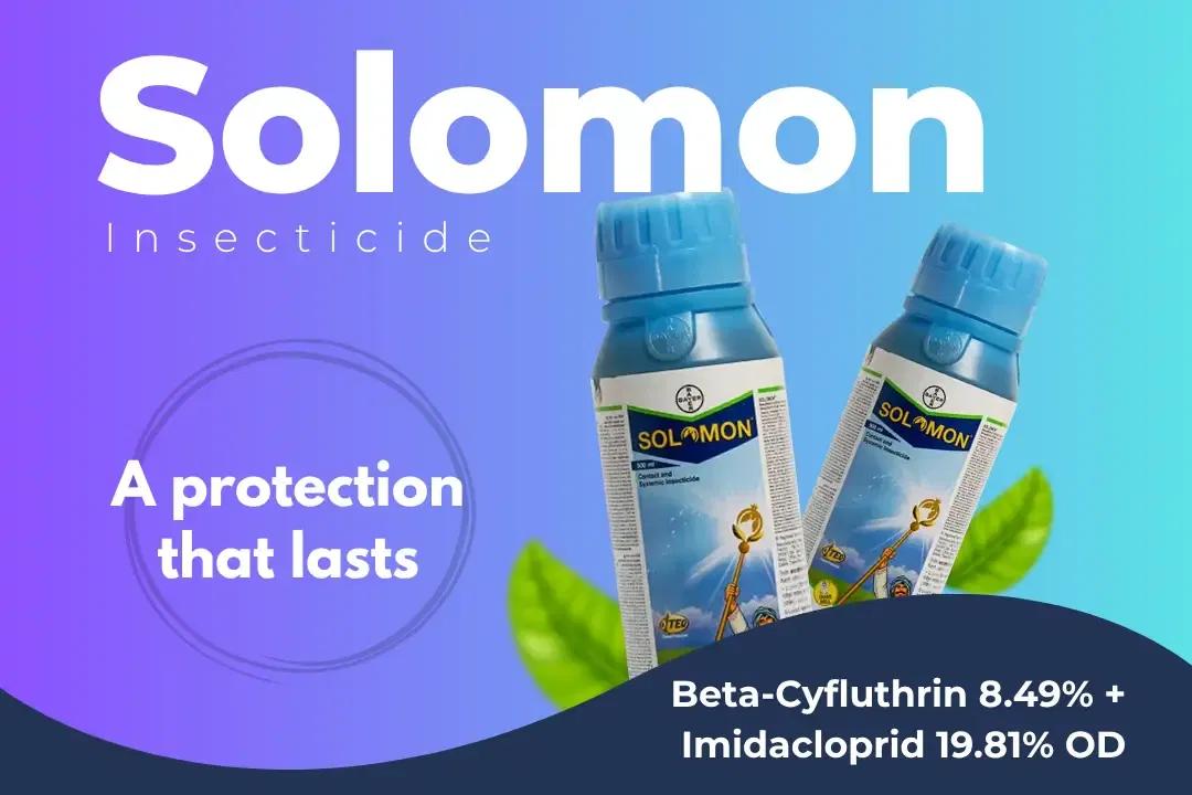 Solomon Insecticide Technical Name
