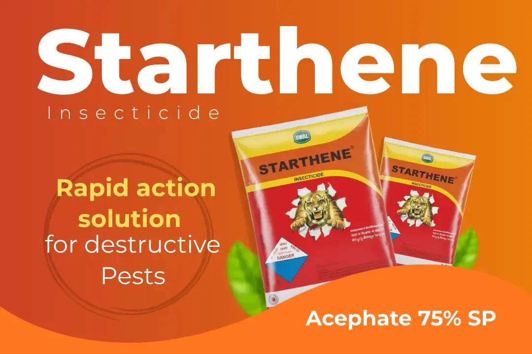 Starthene Insecticide Technical Name