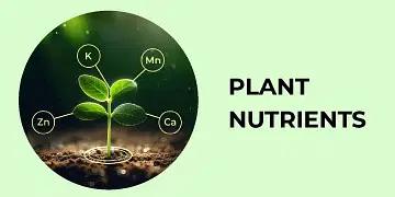 BigHaat | Bank of Baroda - Plant Nutrients