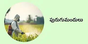 BigHaat | Bank of Baroda - Pesticides