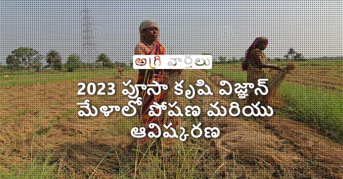 /kvplus/articles/Nutrition-and-Innovation-at-Pusa-Krishi-Vigyan-Mela-Telugu_1.jpg