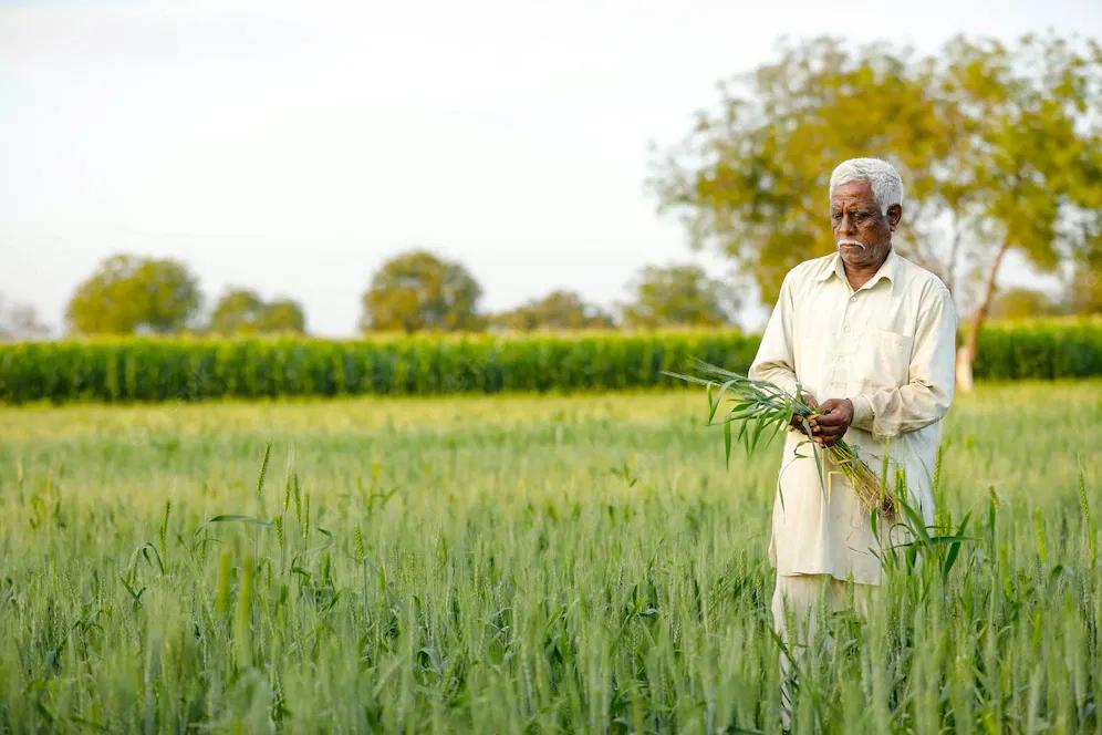/kvplus/articles/young-indian-farmer-standing-wheat-field_75648-1105.webp