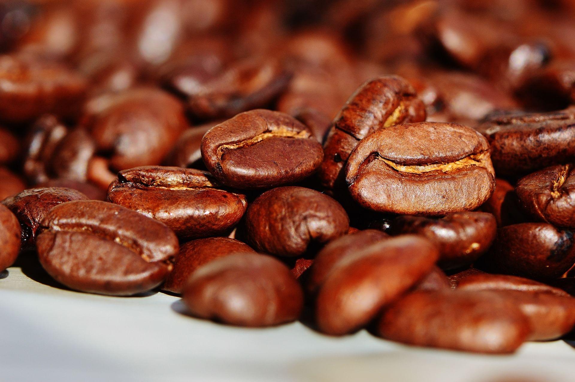 kvplus/articles/0f9aa93775e9371d845ee10bb53835d0_coffee-beans-g6474cf141_1920.jpg