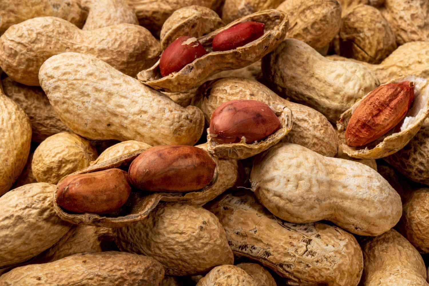 kvplus/articles/354e7f53ae88db25317e47dd241f65fe_close-top-view-peanuts-shell_11zon.jpg