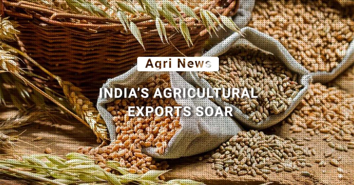 kvplus/articles/68b59d13cea90e8e3a5db7b65bf90e1a_20.-Agriculture-Exports_.jpg