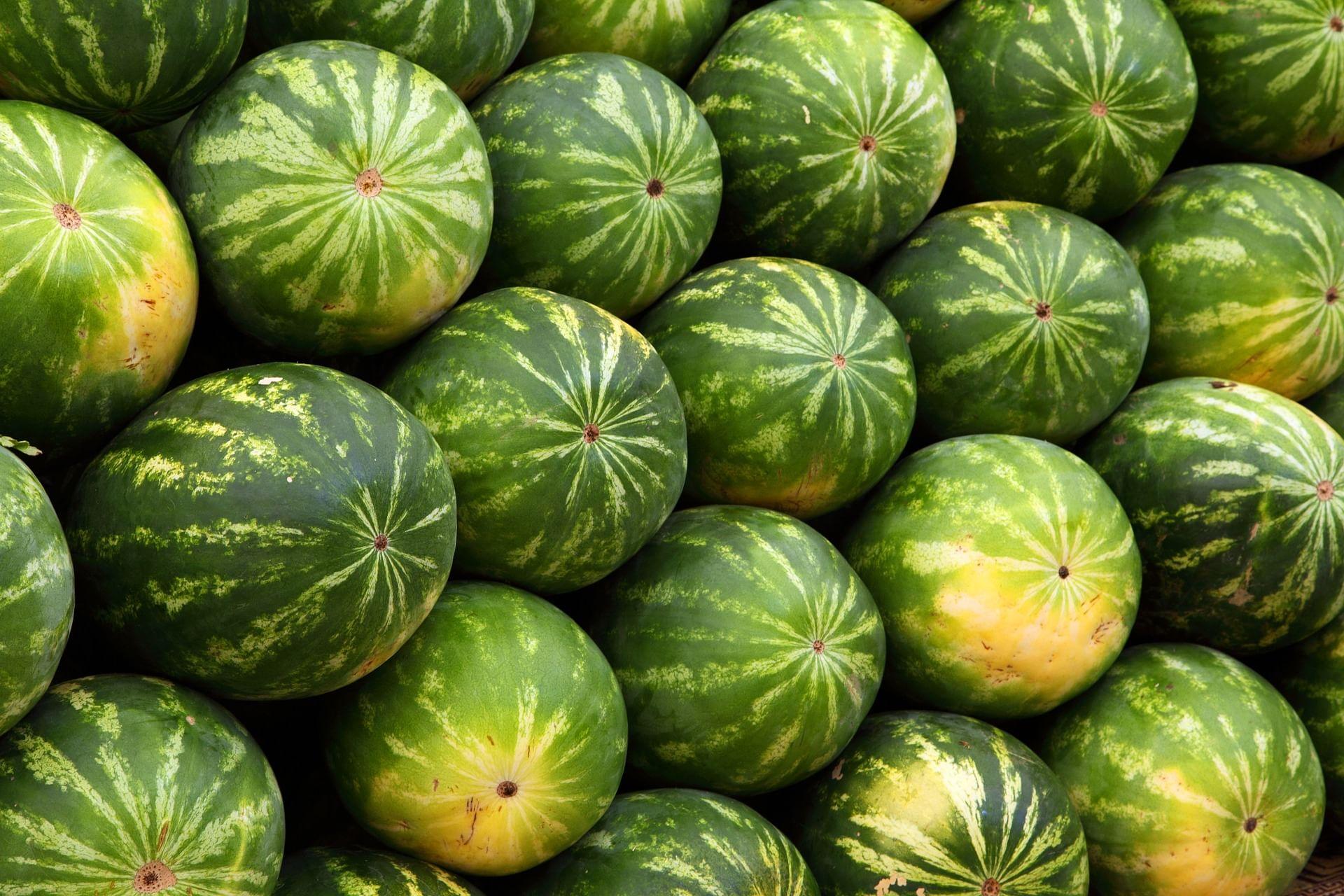 kvplus/articles/77b80e8aa0156d87394b7a84dc0c8f45_watermelons-g65aaf6a1c_1920.jpg
