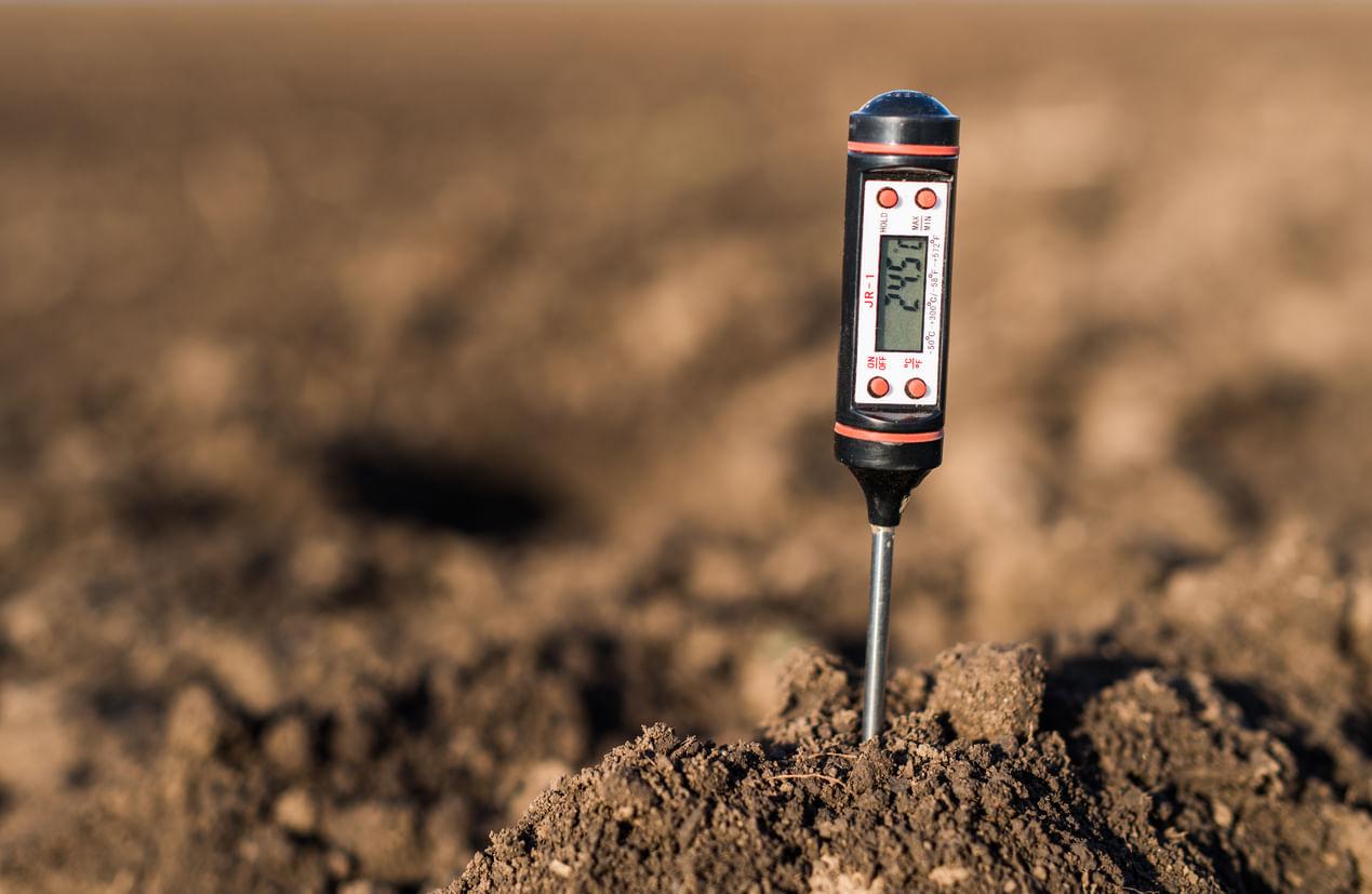 Learn How to Test Soil pH at Home Without a Testing Kit