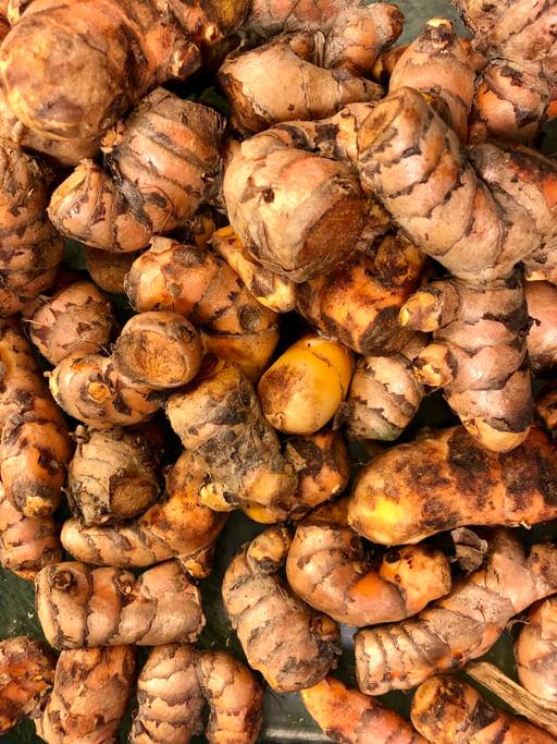 Turmeric Farming Made Simple