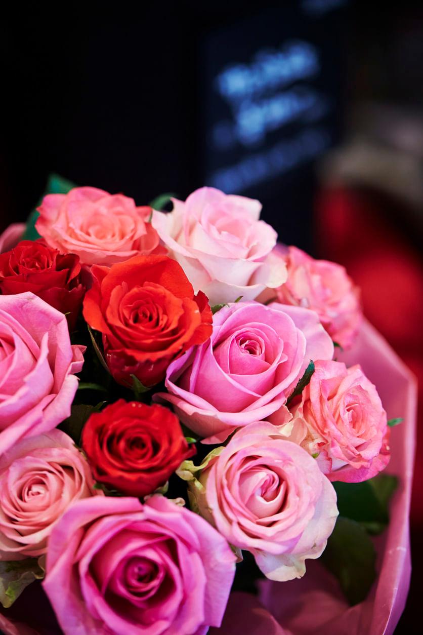 Discover Different Types of Roses and Their Characteristics